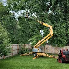 Artificial Turf Installation in Benton Park, CA